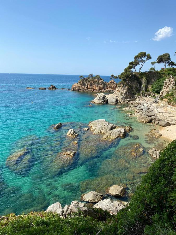 Гостевой дом Roulotte En Bois Sud France Le Soler Экстерьер фото