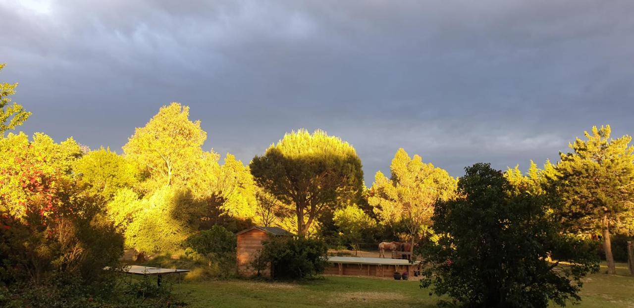 Гостевой дом Roulotte En Bois Sud France Le Soler Экстерьер фото